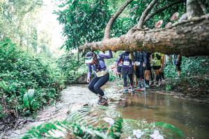 BIB: 
                            <button type="button" onclick="openModal(25473725)" class="btn btn-primary btn-sm float-right btn-popup" data-toggle="modal" data-target=".modal-high-quality">
                        <i class="fas fa-shopping-cart"></i> Add to Cart
                    </button>
                                            <button type="button" onclick="isThisMe(25473725, true)" class="btn btn-success btn-sm float-right btn-popup btn-isme hidden" data-toggle="tooltip" data-placement="bottom" title="นี่คือรูปของคุณใช่ไหม คลิกที่นี่เพื่อเอาเข้าอัลบั้ม">
                        <i class="fas fa-plus"></i> Add to album
                    </button>
                    <button type="button" onclick="isThisMe(25473725, false)" class="btn btn-warning btn-sm float-right btn-popup btn-isnotme hidden">
                        <i class="fas fa-ban"></i> Remove from album
                    </button>